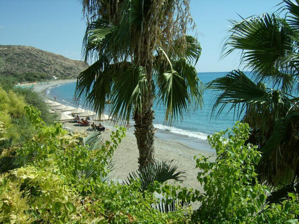 Patriko Village Home Pissouri Bagian luar foto
